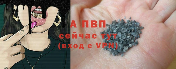 стафф Инта