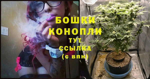 стафф Инта