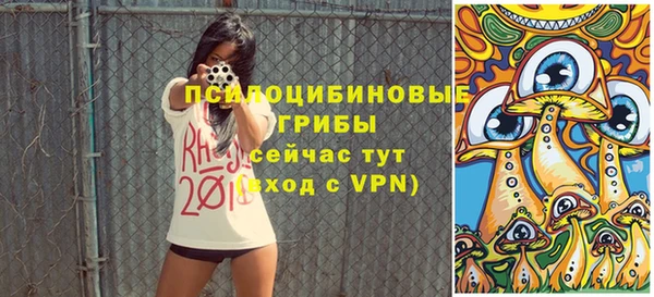 стафф Инта