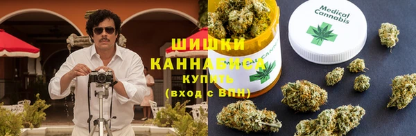 стафф Инта