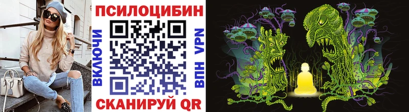 kraken рабочий сайт  Таруса  Псилоцибиновые грибы MAGIC MUSHROOMS 