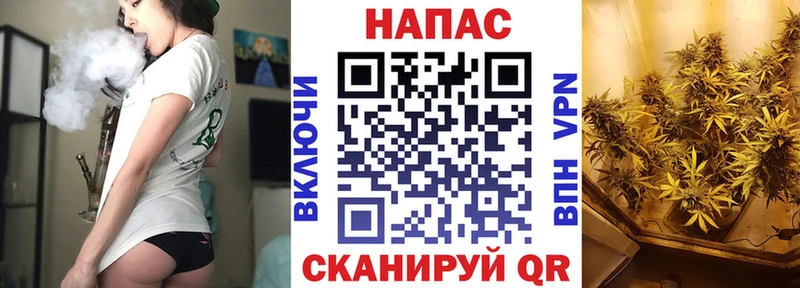 Каннабис ГИДРОПОН купить закладку Таруса